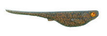Load image into Gallery viewer, The Original Munchee (Belly Slot Version)
