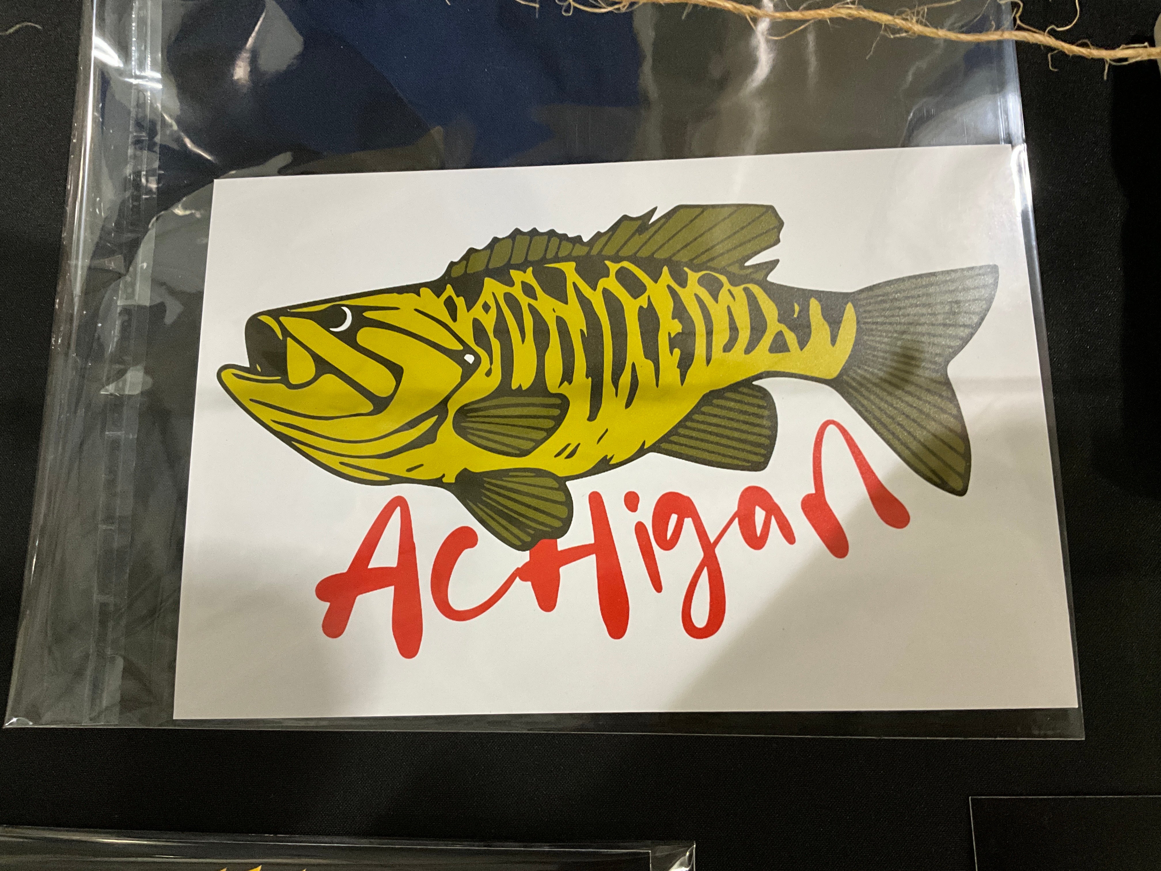 Cobra Kai Smallie