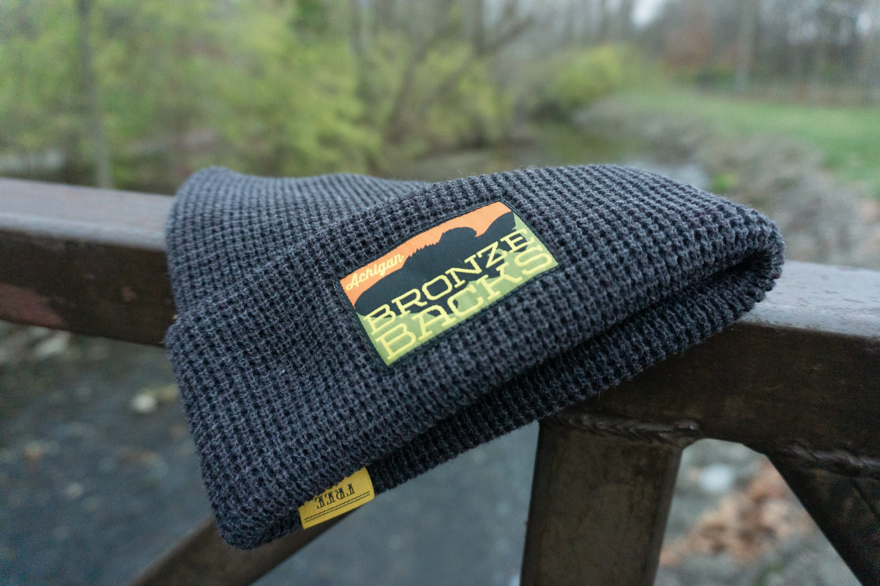 Bronzebacks Beanie (Charcoal)