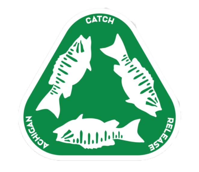 Catch. Release. Repeat. Decal