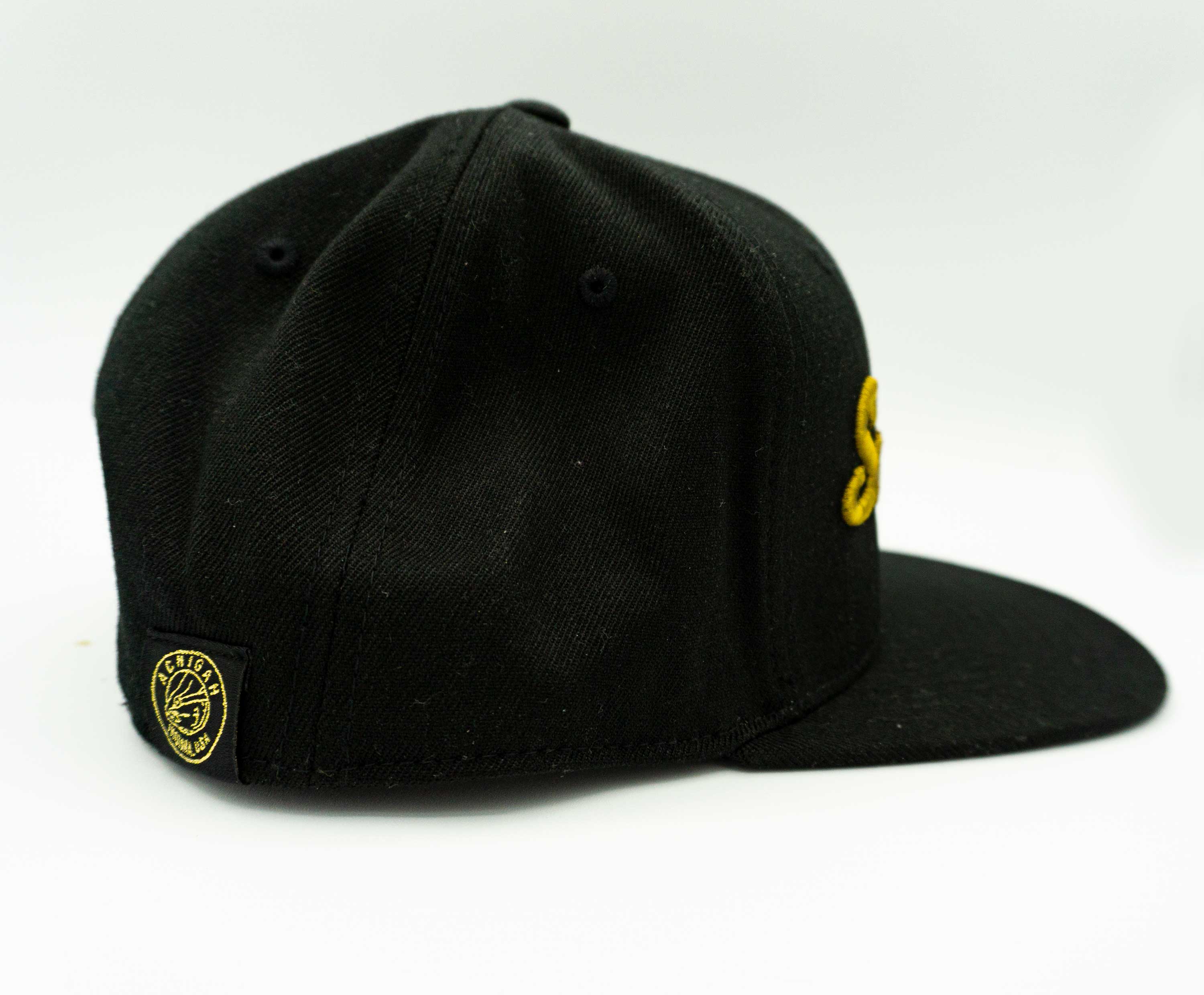 Smallies Black/Bronze Flexfit Flatbill